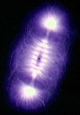Kirlian photograph (high frequency photograph) of the Isis beamer 1:1