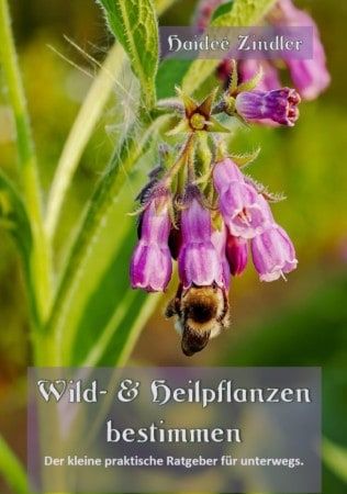 Determine wild plants and medicinal plants - The small practical guide for on the road