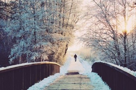 Winter blues – How to survive this tips for the gloomy season.